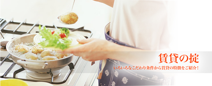 賃貸の掟　こだわりのキッチン